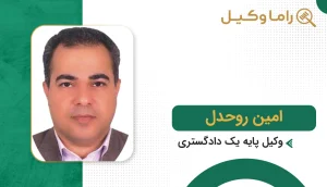 امین روحدل