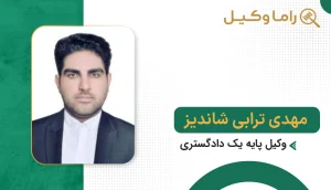 مهدی ترابی شاندیز