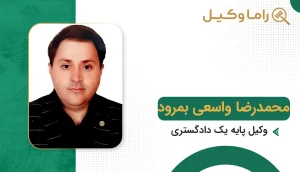 محمد رضا واسعی بمرود