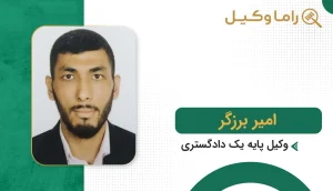 امیر برزگر