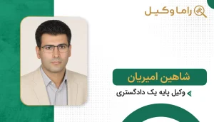شاهین امیریان