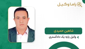 شاهین حمیدی
