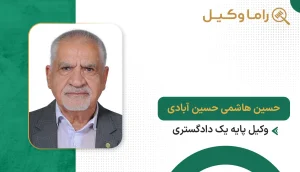 حسین هاشمی حسین آبادی