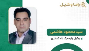 سیدمحمود هاشمی