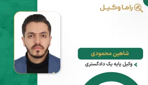 شاهین محمودی