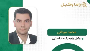 محمد میدانی