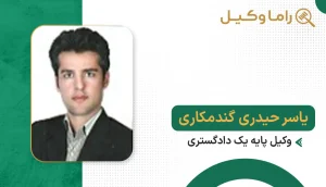 یاسر حیدری گندمکاری