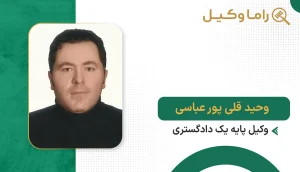 وحید قلی پور عباسی