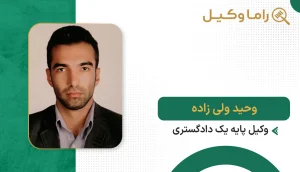 وحید ولی زاده
