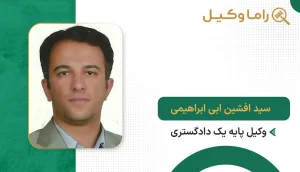 سید افشین ابی ابراهیمی