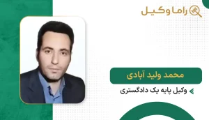 محمد ولید آبادی