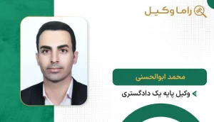 محمد ابوالحسنی