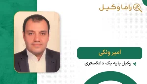 امیر ونکی