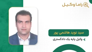 سید نوید هاشمی پور