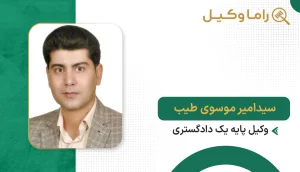 سیدامیر موسوی طیب