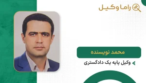 محمد نویسنده