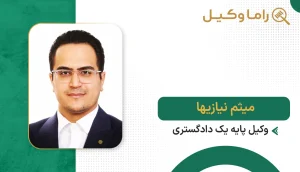 میثم نیازیها
